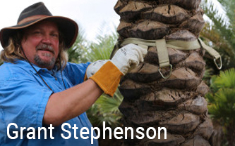 Grant Stephenson of HCI Global positioning an Oasis Tree Care Palm Anchoring System on a palm